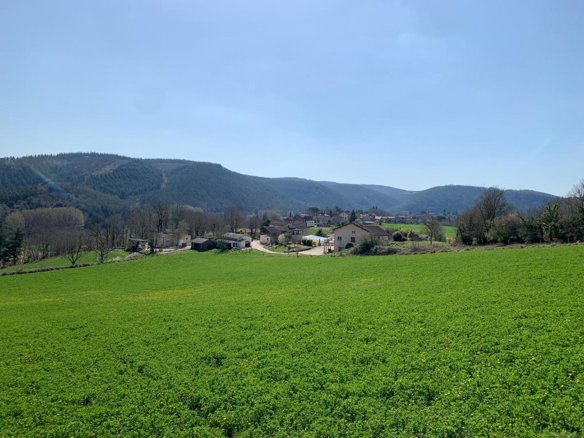 Les Figuiers De Louna - Pierre Ensoleillee - 110 M2 Et Une Veranda Saint-Gery  Bagian luar foto